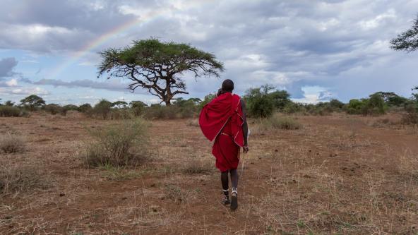 Unser Masai Führer kennt sich bestens mit der Pflanzenwelt aus