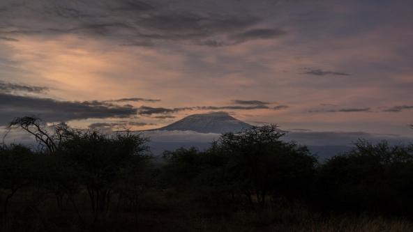 Kilimanjaro