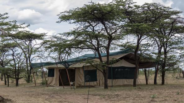 Kicheche Bushcamp