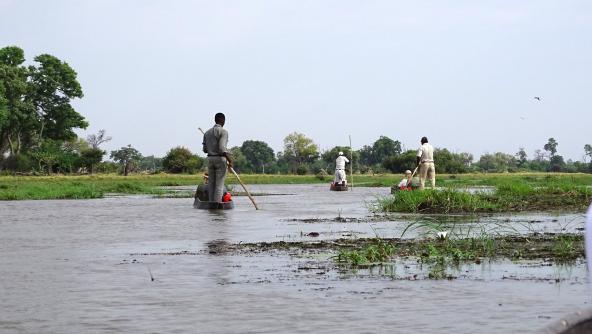 Mokoro Okavangodelta Dinare Botswana