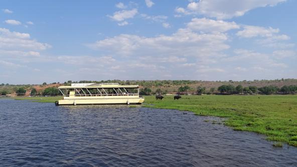 Chobe Fluss Bootsfahrt Ausflug Botswana