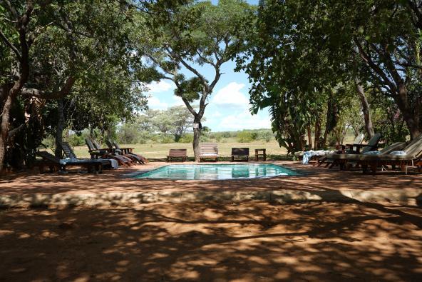 Honeyguide Ranger Camp - Pool