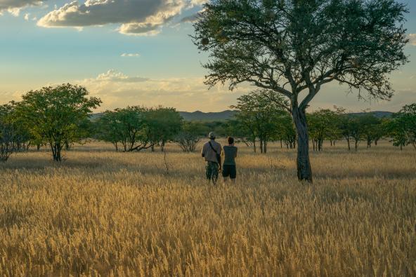 Ohorongo Private Game Reserve - Walking Safari