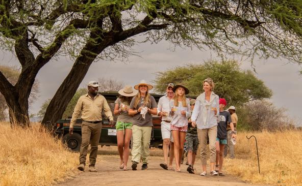 Honeyguide Tarangire Camp - Bushwalk