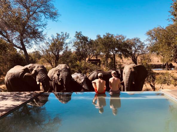 Honeyguide Mantobeni Camp - Pool