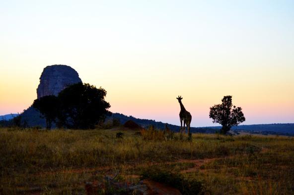 Honeyguide Ranger Camp - Sonnenuntergang