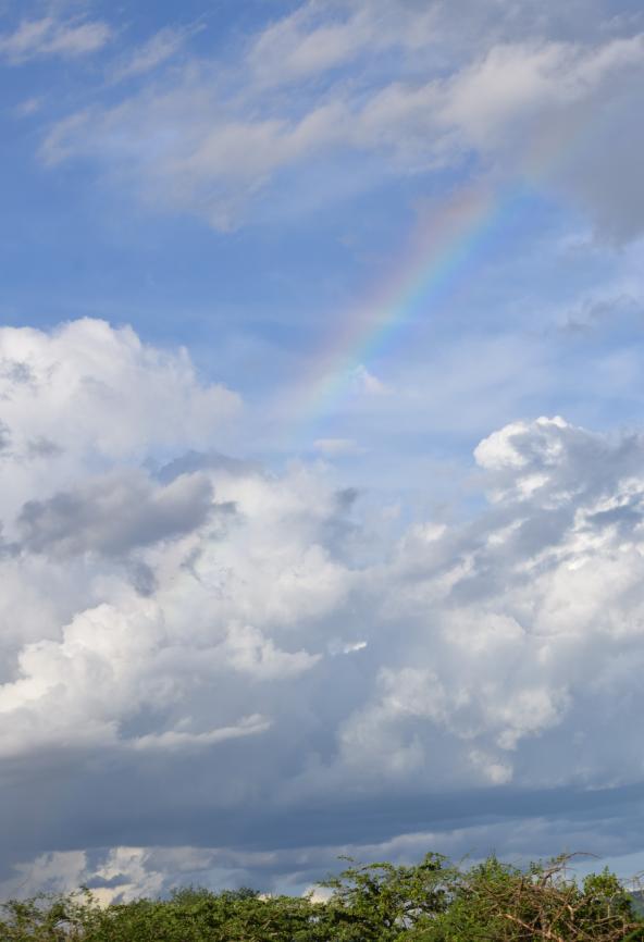 Regenbogen im Mkomazi