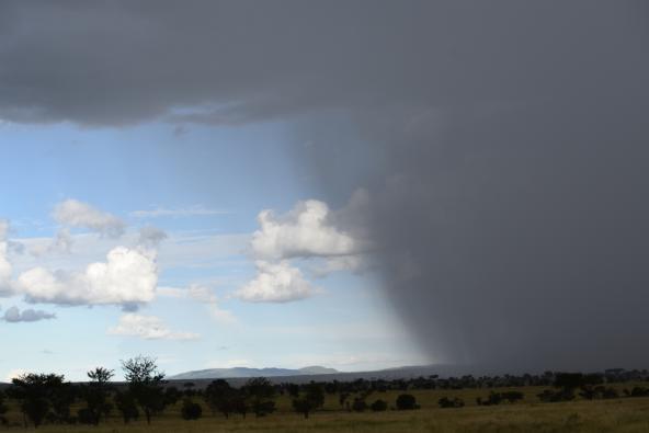 Regen in der Serengeti (Rechts war unser Camp)