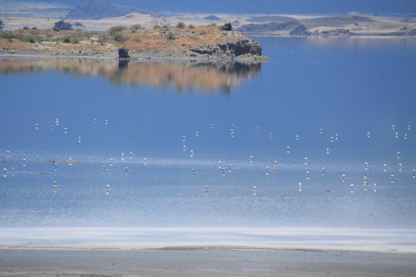 Lake Natron