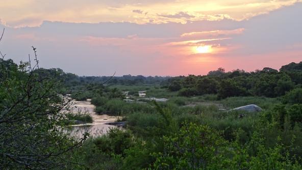 Krüger Nationalpark Südafrika Sonnenuntergang