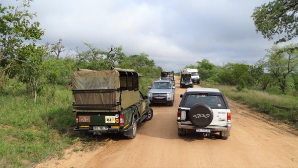 Krüger Nationalpark Südafrika Selbstfahrer