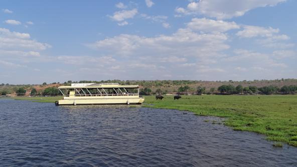 Botswana Chobe Nationalpark Bootsausflug