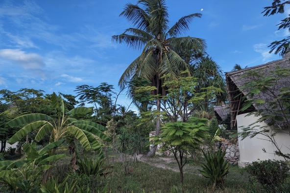 Weg zum Hotelzimmer (Zanzibar Pearl)