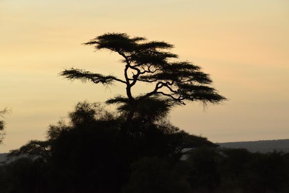 Taita Hills Sonnenuntergang