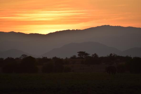 Sonnenuntergang Tsavo Ost