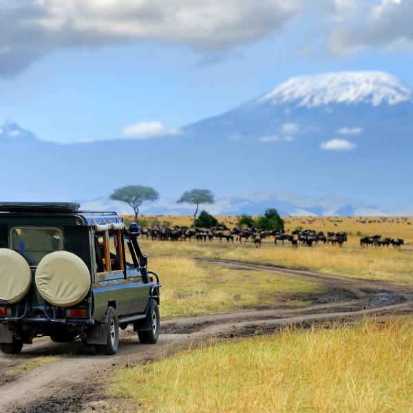 Kenia geführte Rundreisen östliches Afrika Safari Pirschfahrt