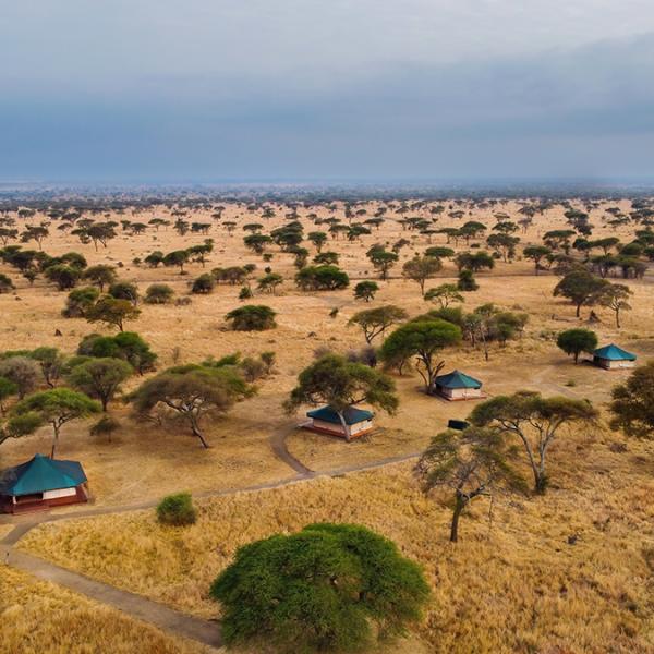 Honeyguide Tarangire Camp