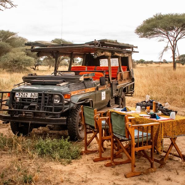 Honeyguide Tarangire Camp - Bush Lunch