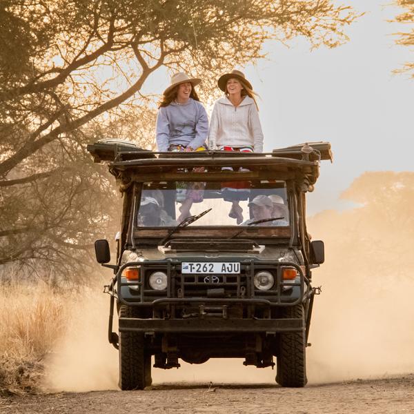 Honeyguide Tarangire Camp - Safari