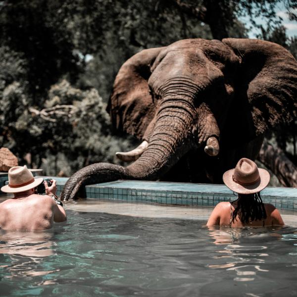 Honeyguide Mantobeni Camp - Pool